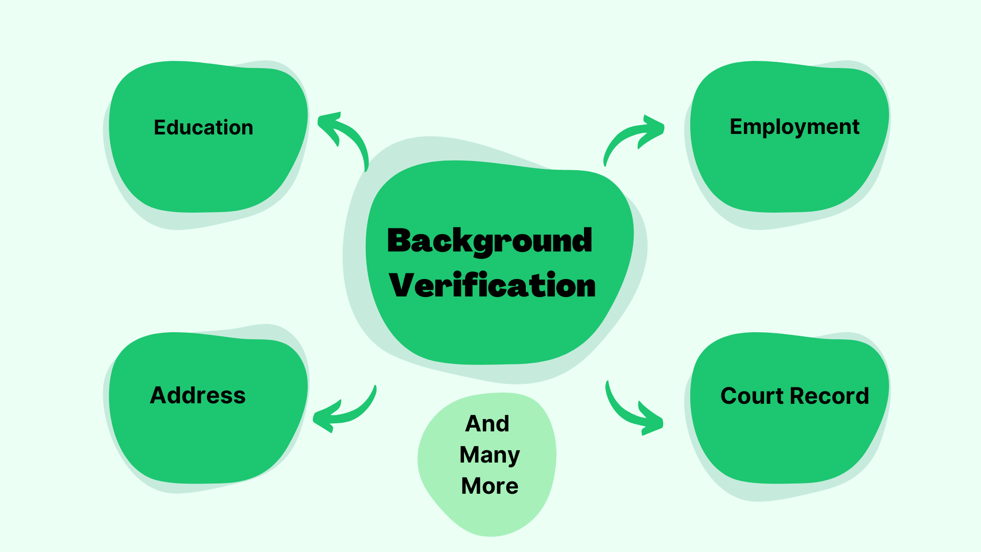 Insight into Our working